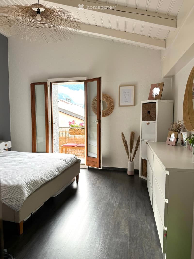 Magnifique duplex 4 .5 (2)