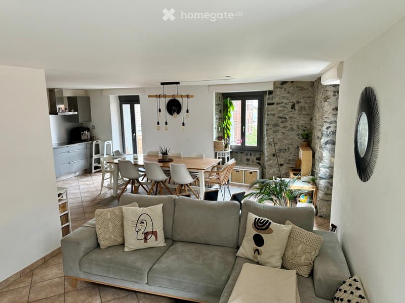 Magnifique duplex 4 .5 (3)