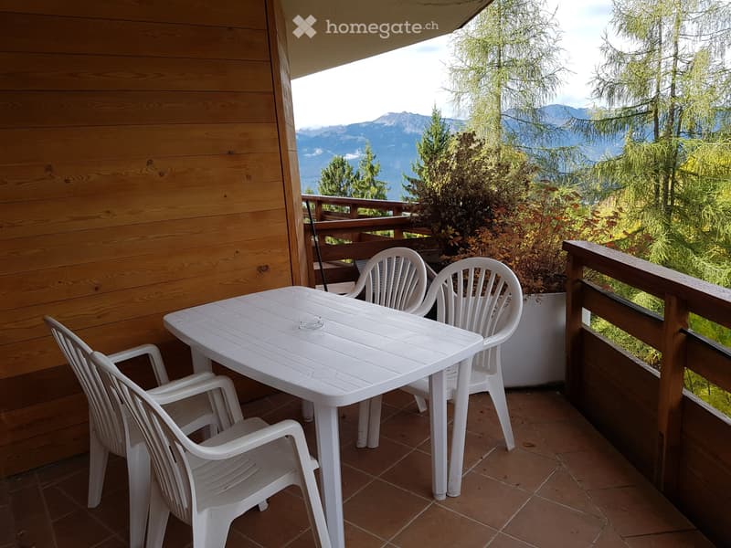 Villars-sur-Ollon Magnifique studio (8)