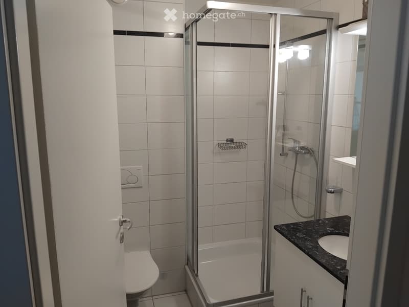 Colocation à Lausanne, avenue des Boveresses 64 (3)