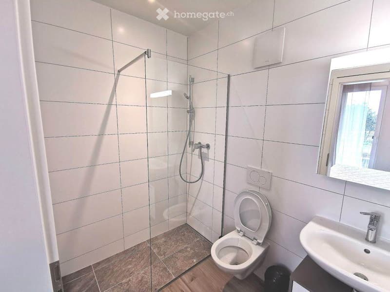Studio meublés proches du centre-ville (2)