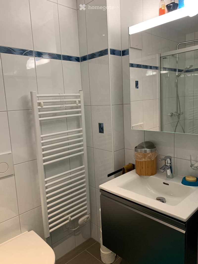 Chambre à louer au mois pour étudiant (4)