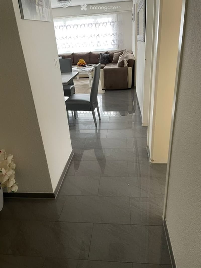 Appartamento moderno 4.5 locali con parcheggio esterno (2)