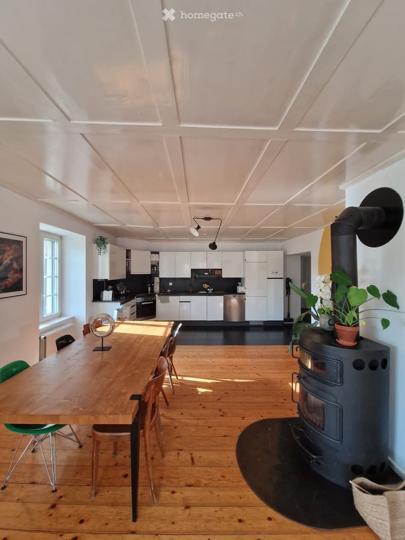 Bel appartement de 5 pièces et demi (2)