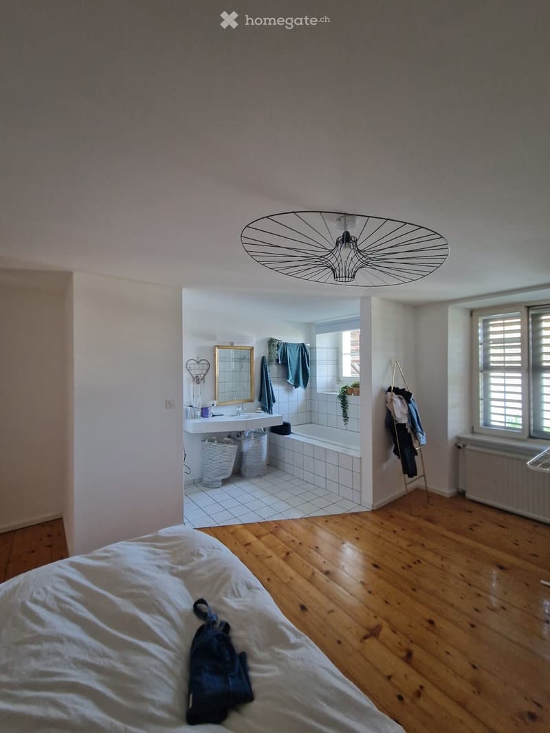 Bel appartement de 5 pièces et demi (4)