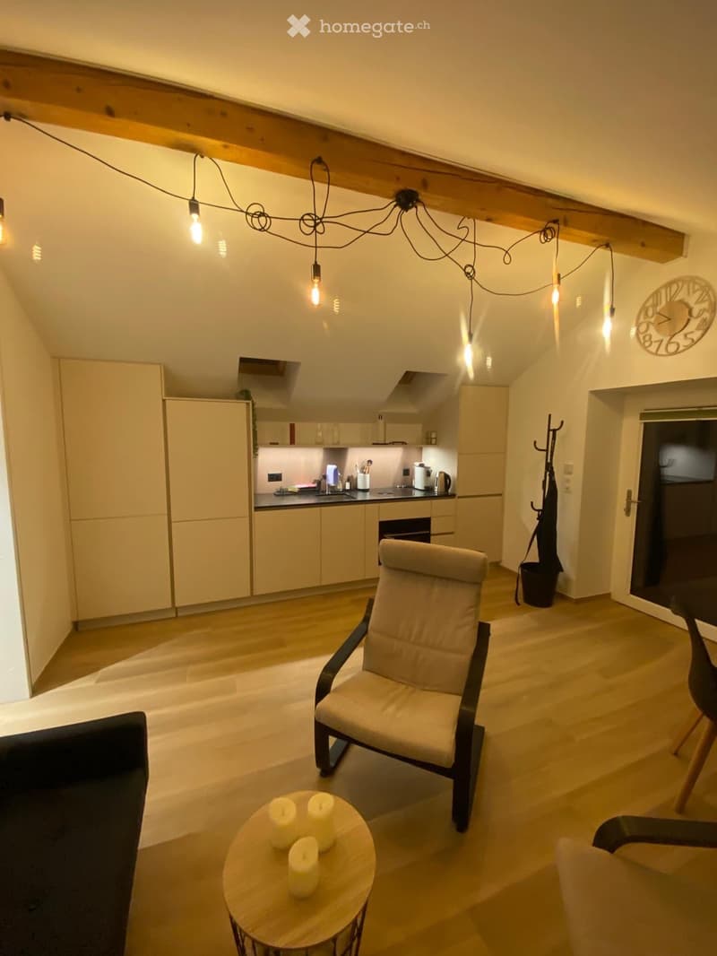 Magnifique appartement meublé au calme - courte durée (4)