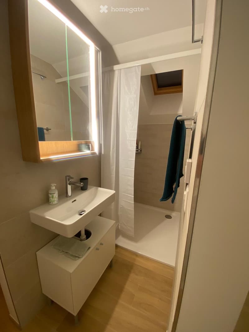 Magnifique appartement meublé au calme - courte durée (2)