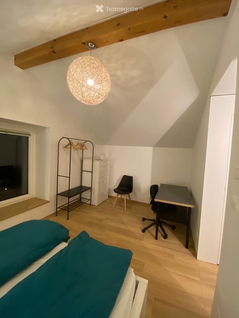 Magnifique appartement meublé au calme - courte durée (5)