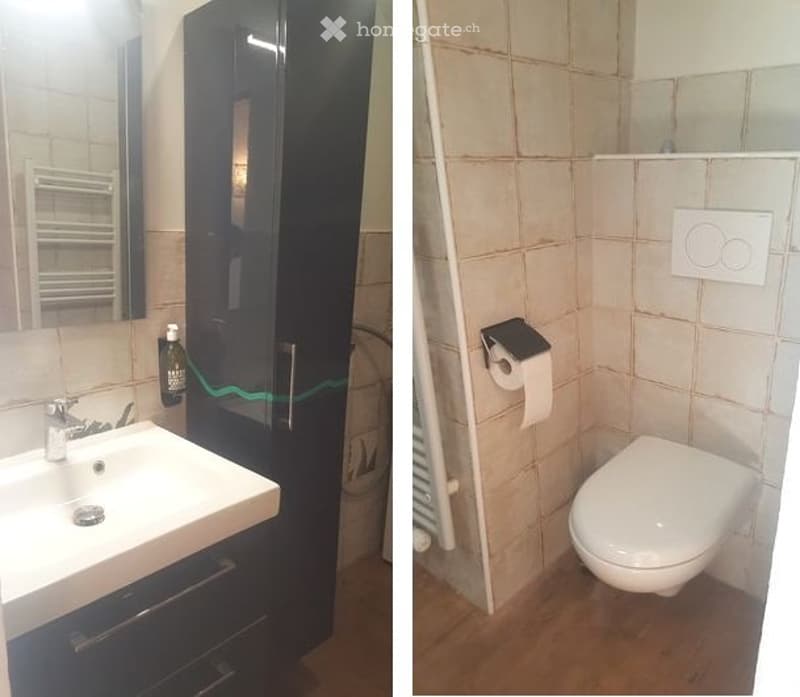 Appartement duplex meublé aux Geneveys-sur-Coffrane (5)