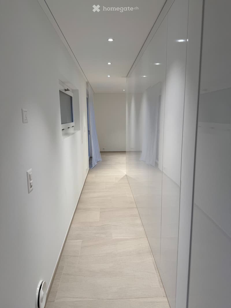 Appartamento loft esclusivo di 2 ½ locali in posizione centrale (3)