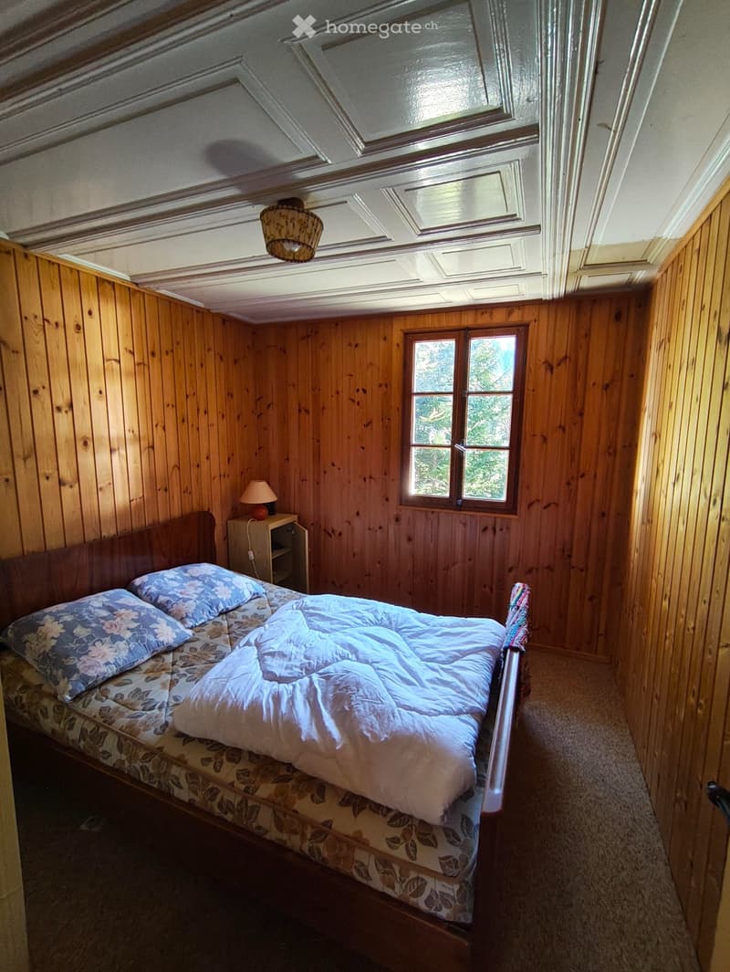 Charmant Chalet sur la route du Sanetsch (5)