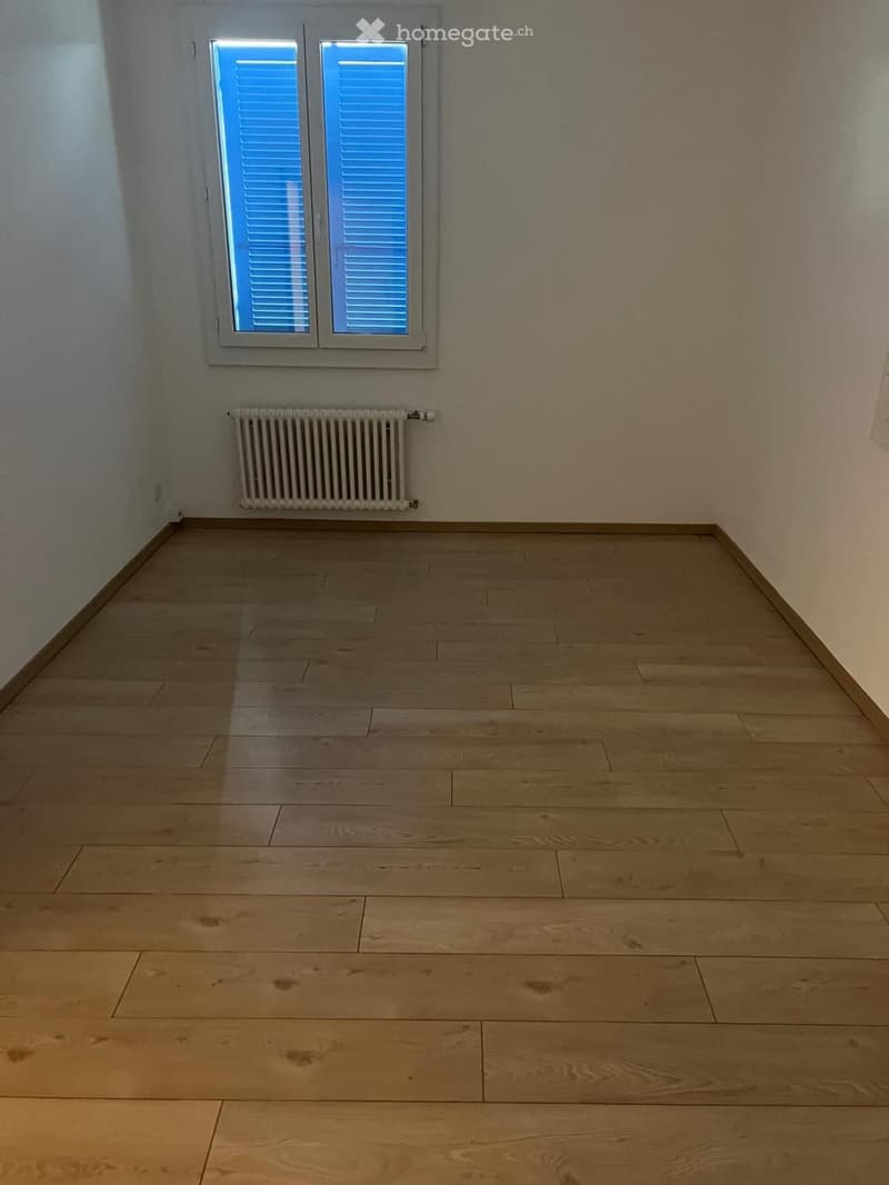 Appartamento di 3 locali in affitto a Luterbach (3)