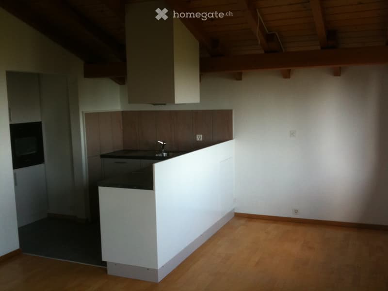 Appartement 3,5 pièces (3)