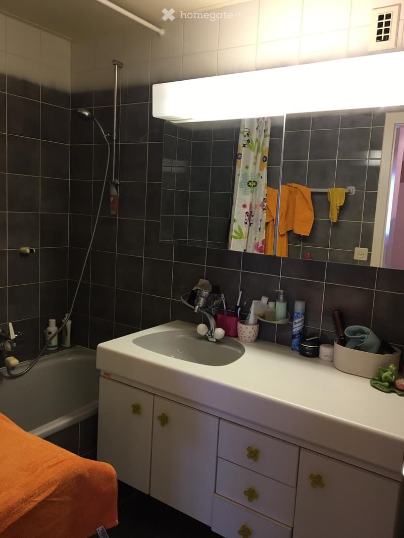 Appartement 3,5 pièces (4)