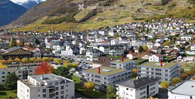Fully  superbe 2.5 pces  75 m2+ Terrasse 29 m2 (3)