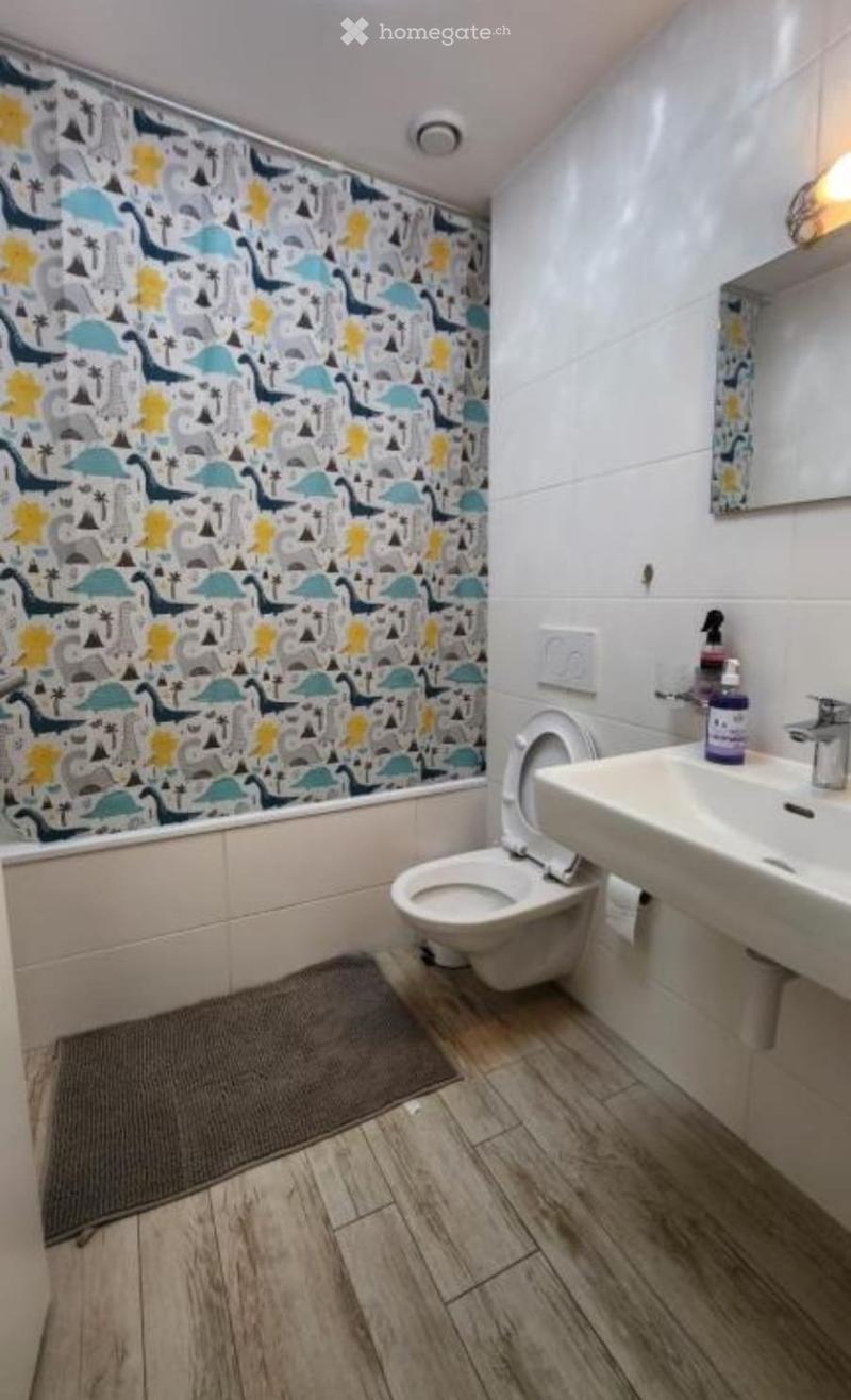 Grand attique meublé de 4,5pce 154m2 avec terrasse (4)