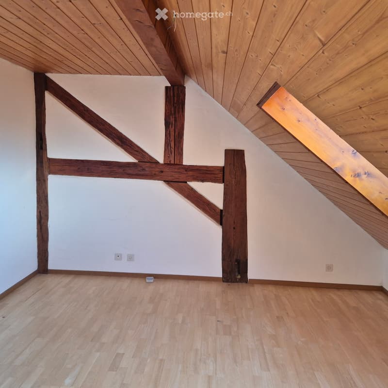 Joli appartement au coeur du Village (4)