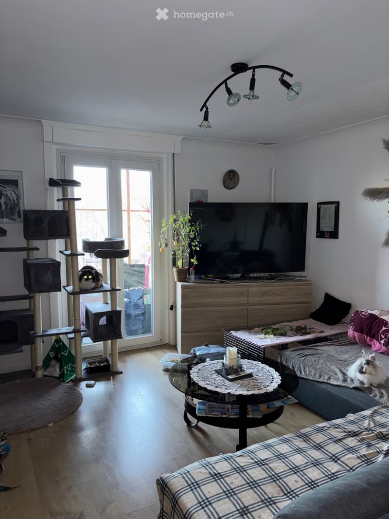 Grand Appartement de 4.5 pces avec balcon (2)