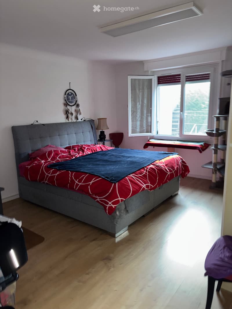 Grand Appartement de 4.5 pces avec balcon (4)