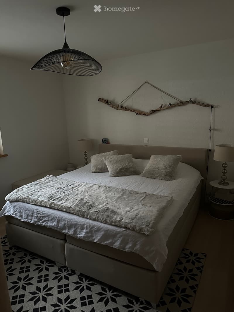 Appartement 4 pièces 1/2 à louer dès mai 2026. (3)