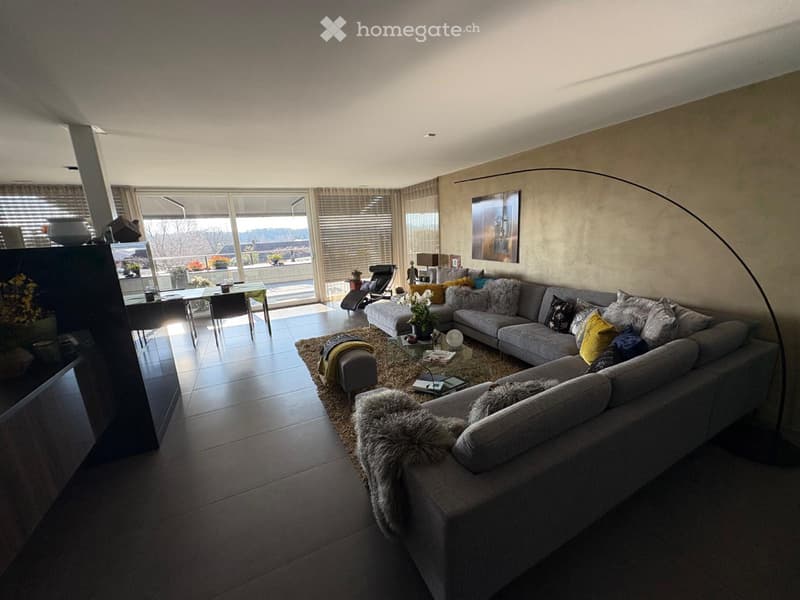 Splendide et vaste appartement (13)