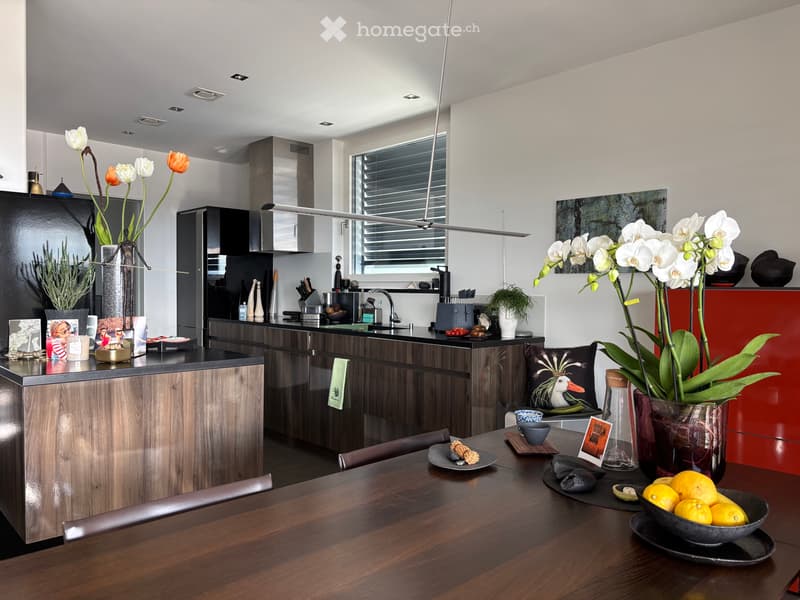Splendide et vaste appartement (7)