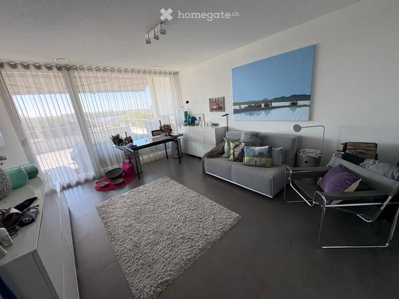 Splendide et vaste appartement (9)