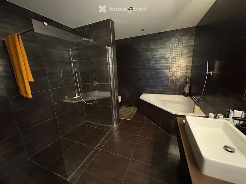 Splendide et vaste appartement (2)