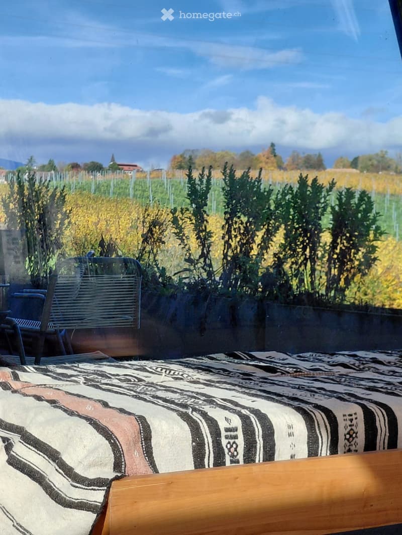 chambre en colocation dans maison spacieuse (10)