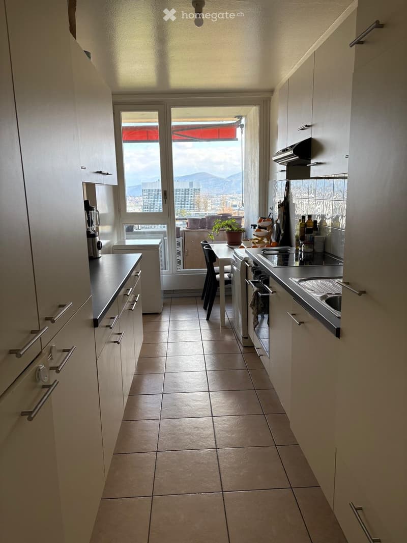 Bel appartement de 5 pièces avec une vue magnifique (3)
