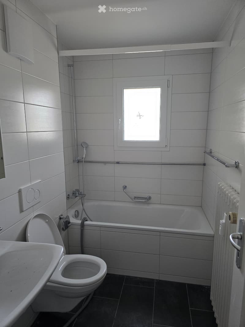 Schöne 3 zimmerwohnung mit winterbalkon (2)