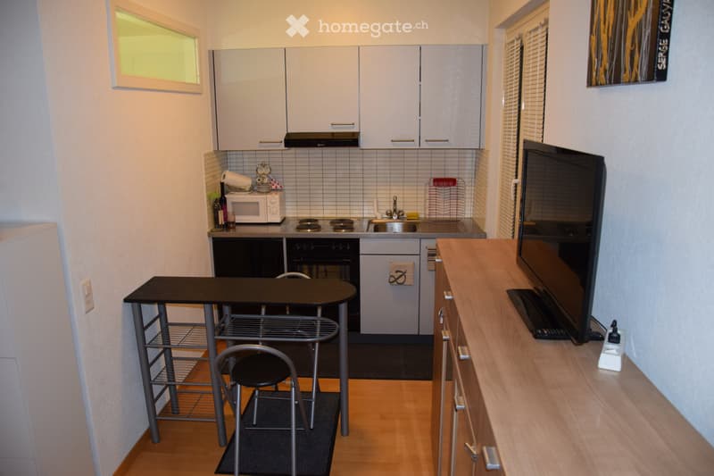 Appartement , Furnished Studio for Rent  Lausanne Center (3)