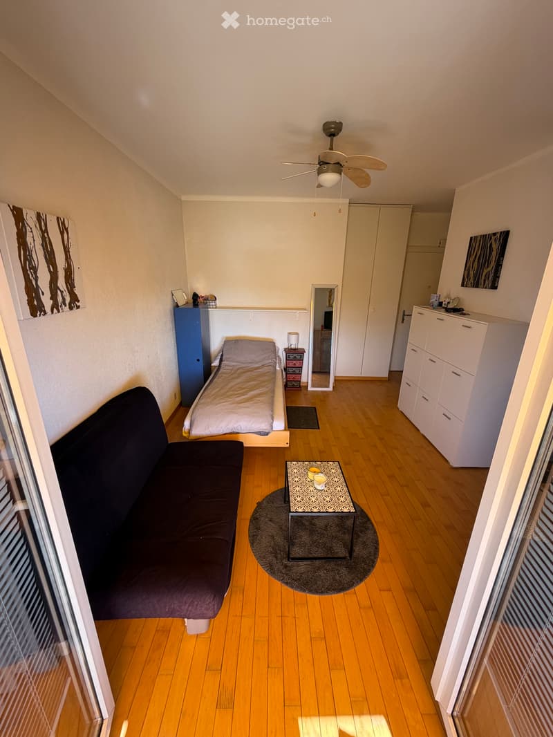 Appartement , Furnished Studio for Rent  Lausanne Center (2)