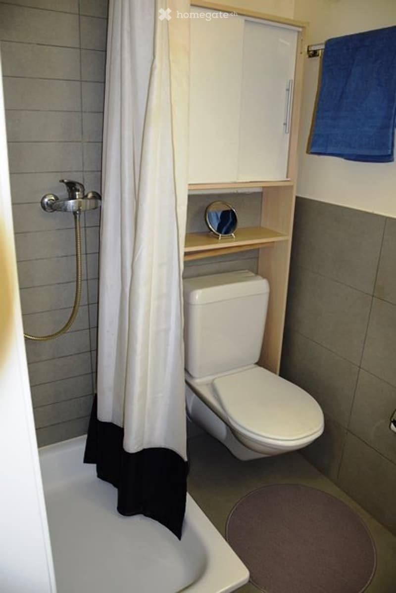 Appartement , Furnished Studio for Rent  Lausanne Center (4)