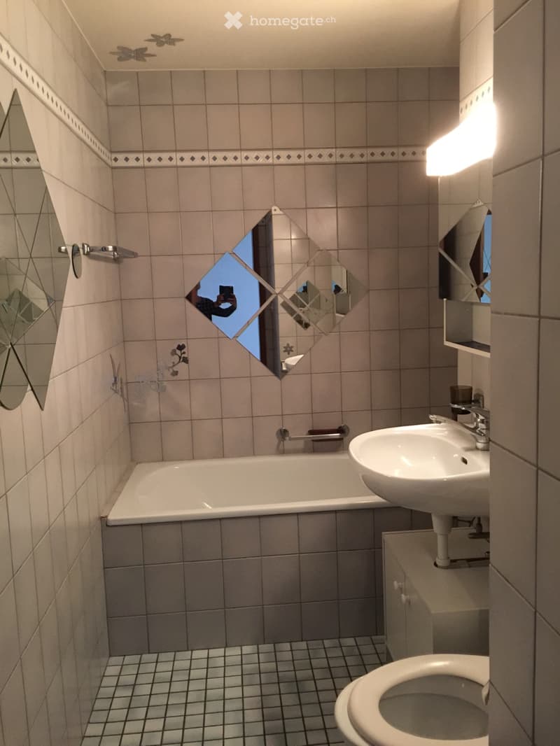 Appartement à louer dès le mois de juillet 2026 (5)