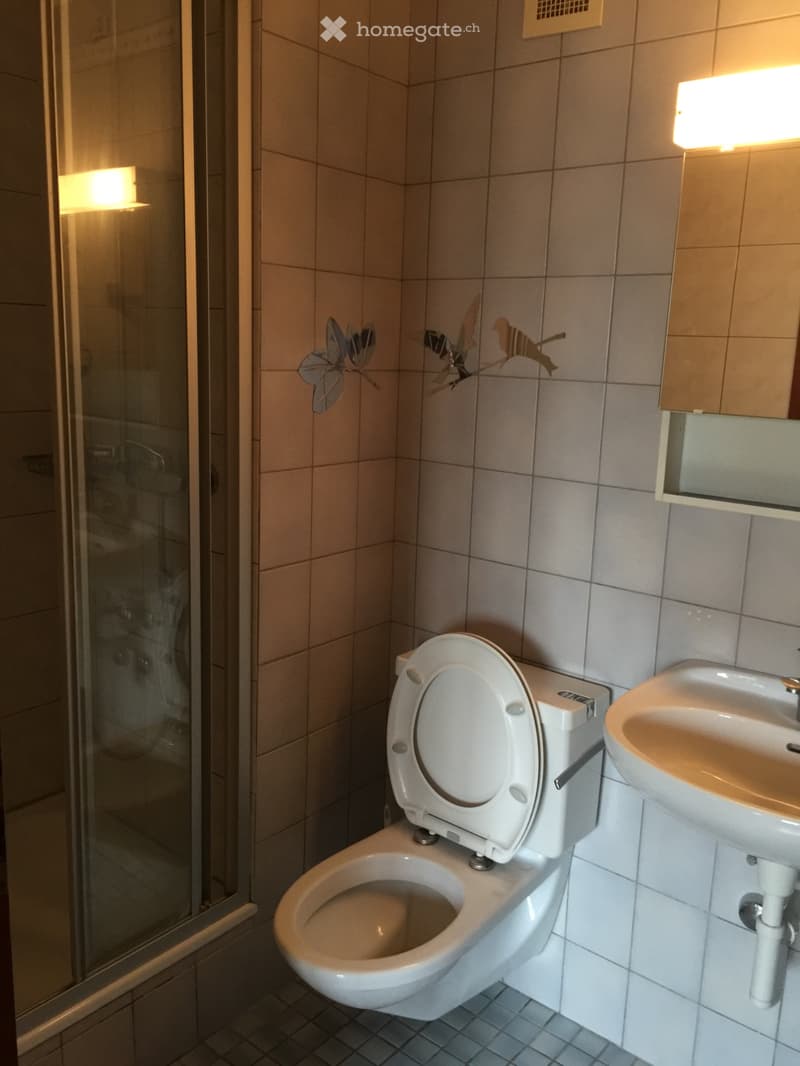 Appartement à louer dès le mois de juillet 2026 (4)