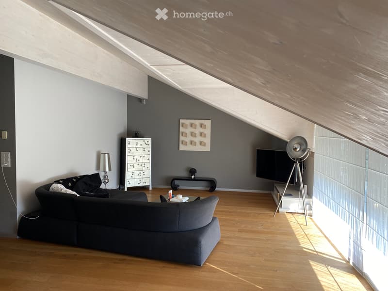 NOUVEAU PRIX A vendre Grand attique lumineux (2)