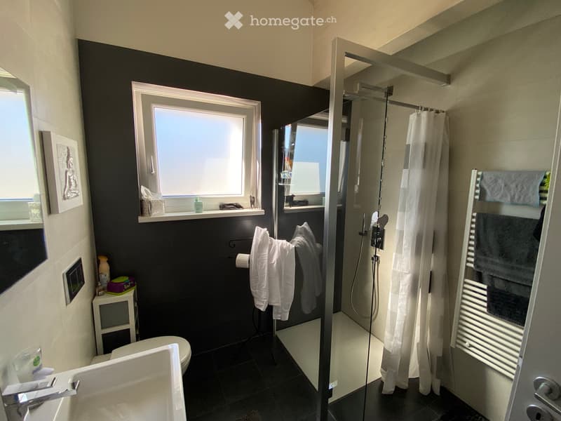 NOUVEAU PRIX A vendre Grand attique lumineux (3)