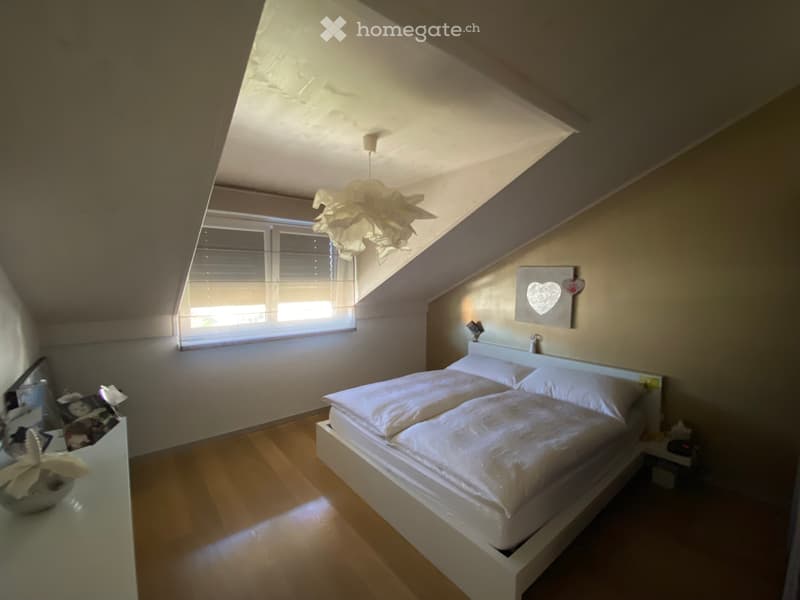 NOUVEAU PRIX A vendre Grand attique lumineux (5)