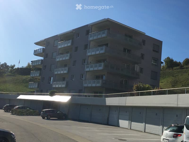 Magnifique studio meublé, parking,cc, proche de Sion /Anzère (5)