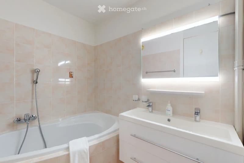 Appartement meublé 3,5 pièces (5)