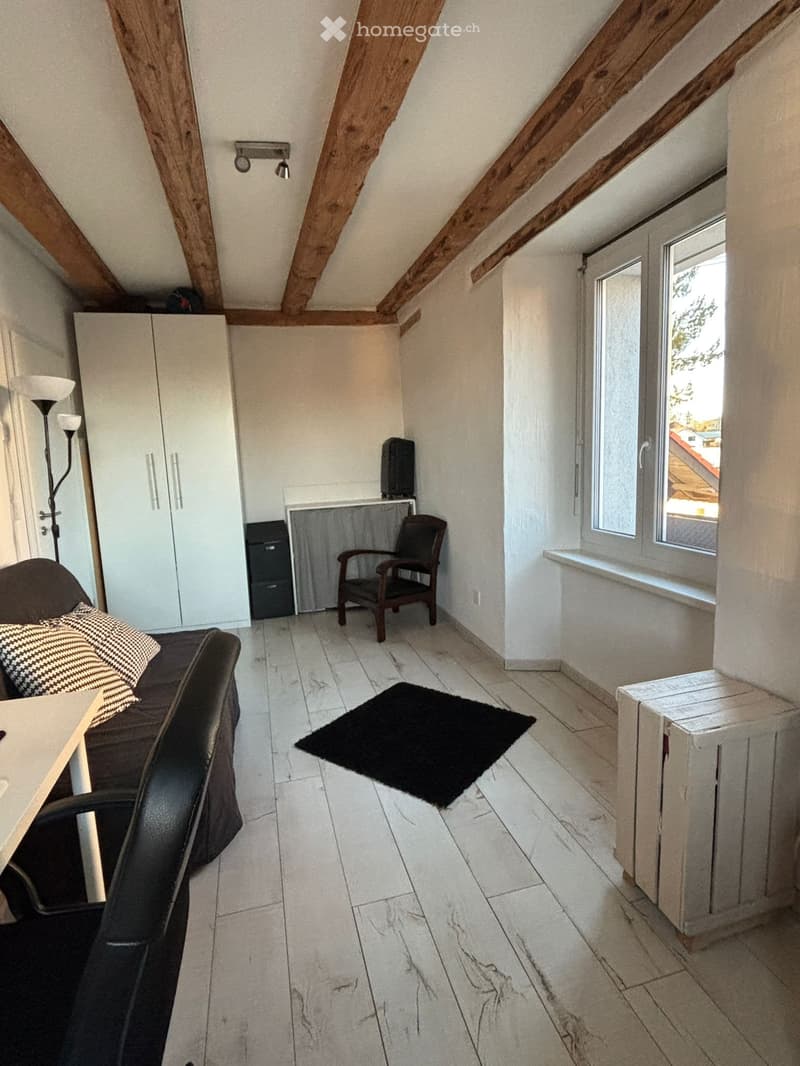 Charmant appartement de 3,5 pièces aux Bois (4)