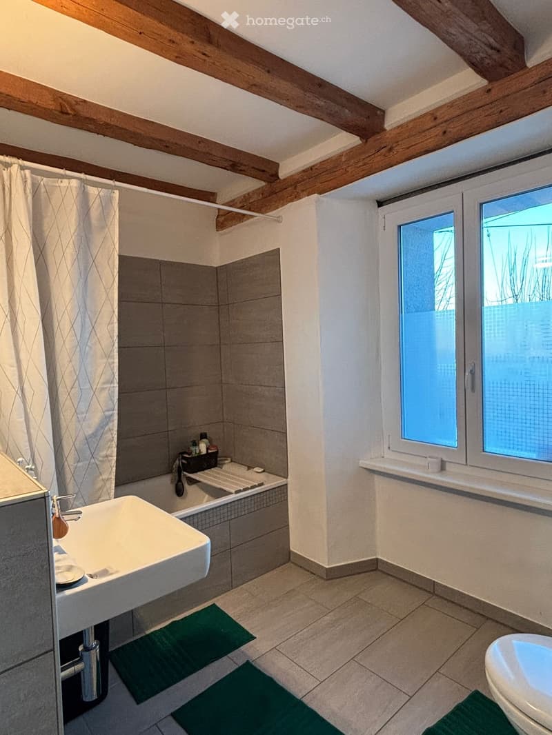Charmant appartement de 3,5 pièces aux Bois (5)