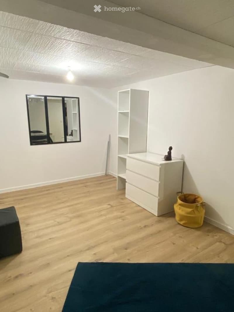 Studio rénové lumineux à Genève  proche centre et transport (2)