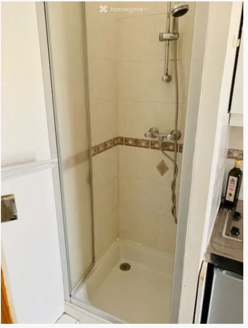 Petit studio 20 m² lumineux et fonctionnel à Zürich Seefeld (3)