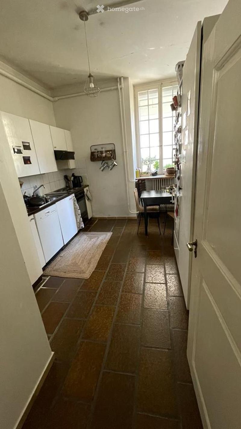 Grand appartement 3.5 pcs (2)