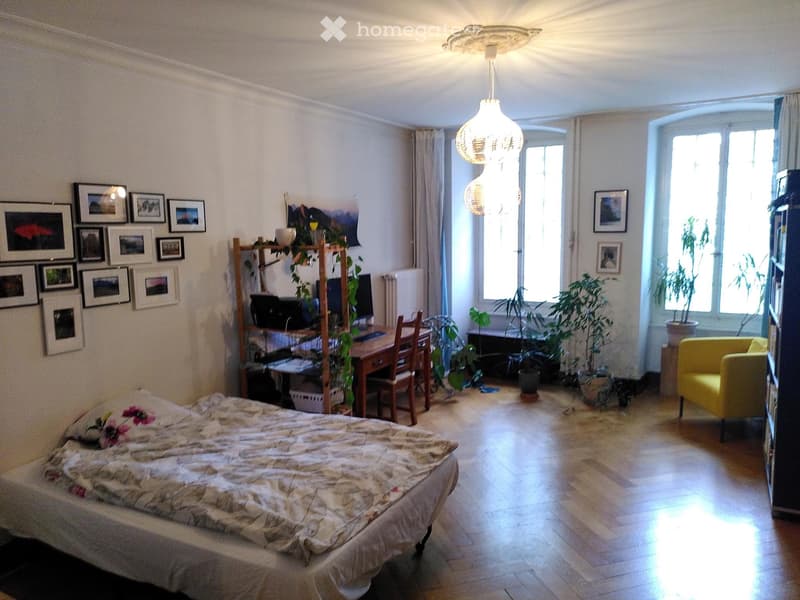Grand appartement 3.5 pcs (4)