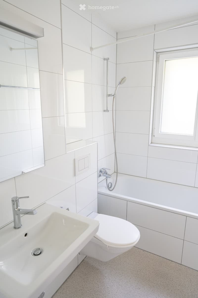 To rent: Beautiful 4 1/2 room apartment in 3-family house (4)