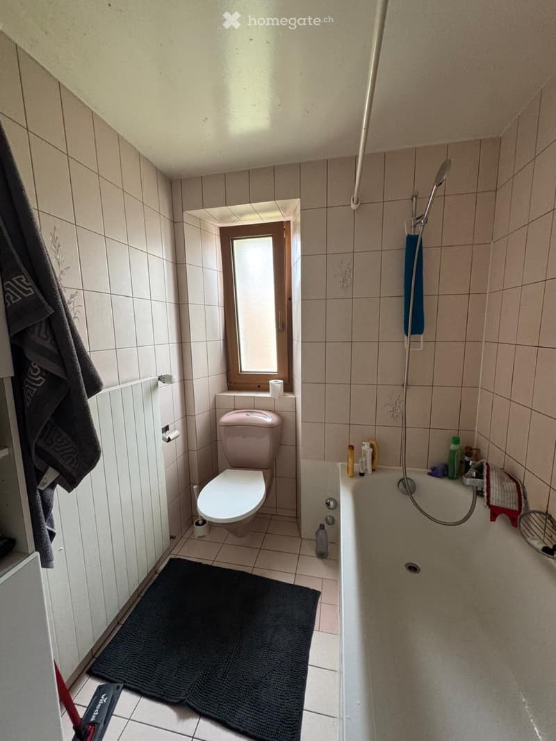Apparemment duplex 3,5 pièces à Renens (2)