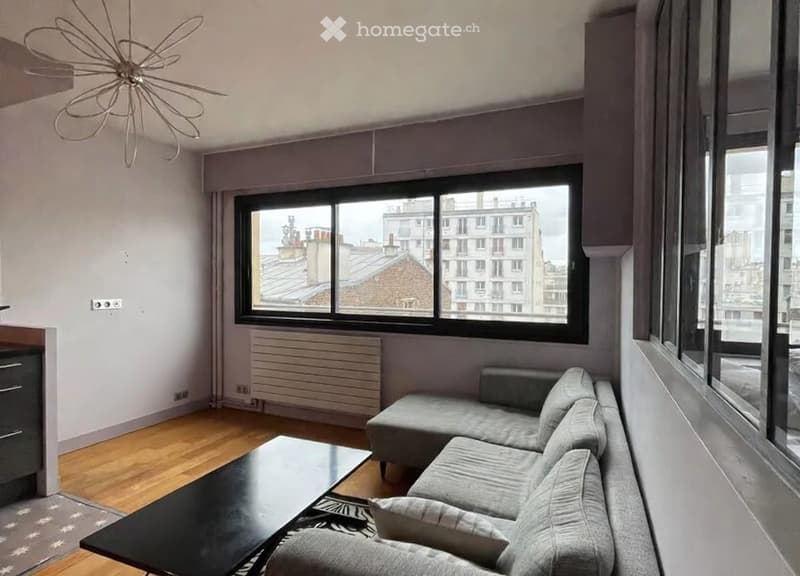Appartement 2 pièces rénové  Eaux-Vives  lumineux avec vue (3)